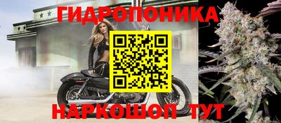 прущие грибы Абакан