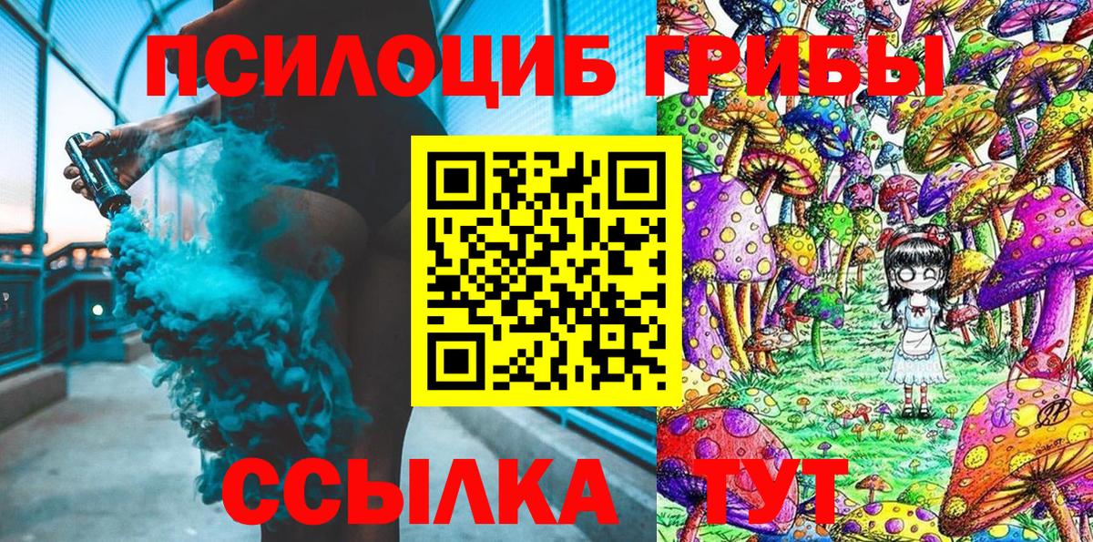 Псилоцибиновые грибы Воркута