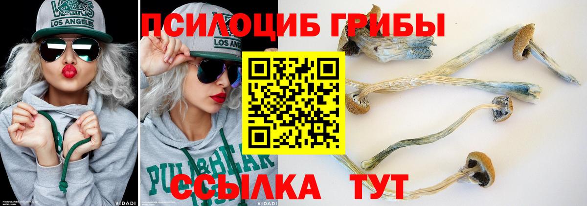 Псилоцибиновые грибы ЛСД Воркута