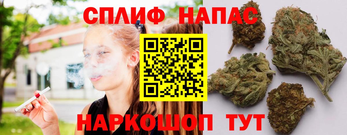 Канабис гибрид  МАРИХУАНА сатива  Бошки марихуана планчик  Воркута 